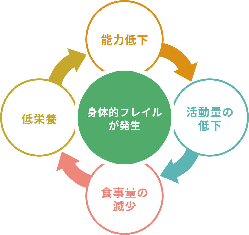 身体能力の低下、活動量の低下、食事量の減少、低栄養のループにより身体的フレイルが発生する